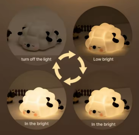 Luz Nocturna Borrego