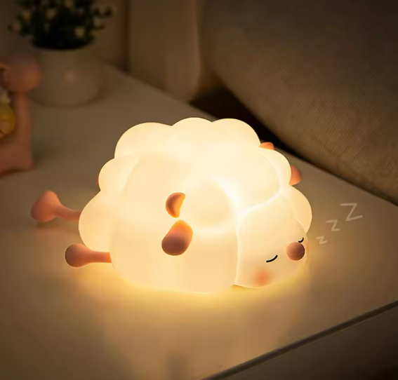 Luz Nocturna Borrego